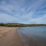 Sandy Bear - Happy